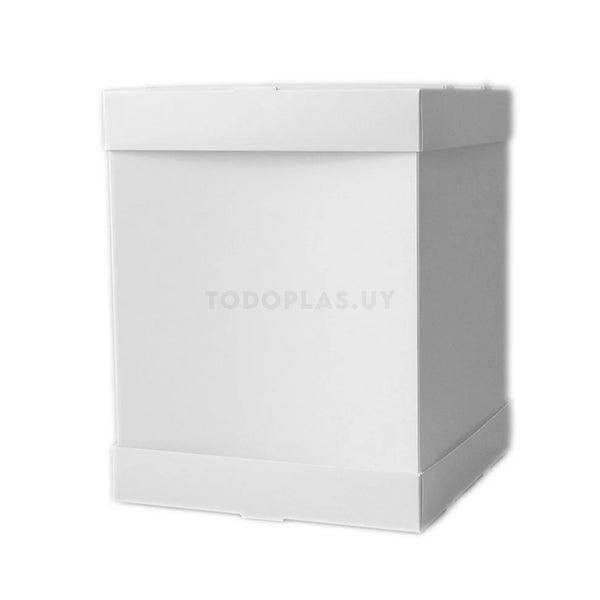 Caja blanca plus size 30x30x38cm