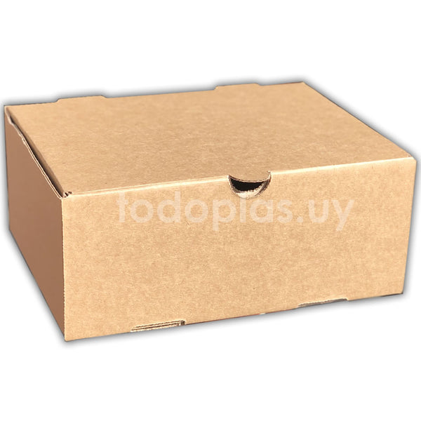 Caja delivery especial marrón 21x17x9cm